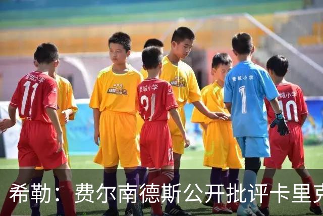希勒：费尔南德斯公开批评卡里克，曼联传奇生涯已被玷污